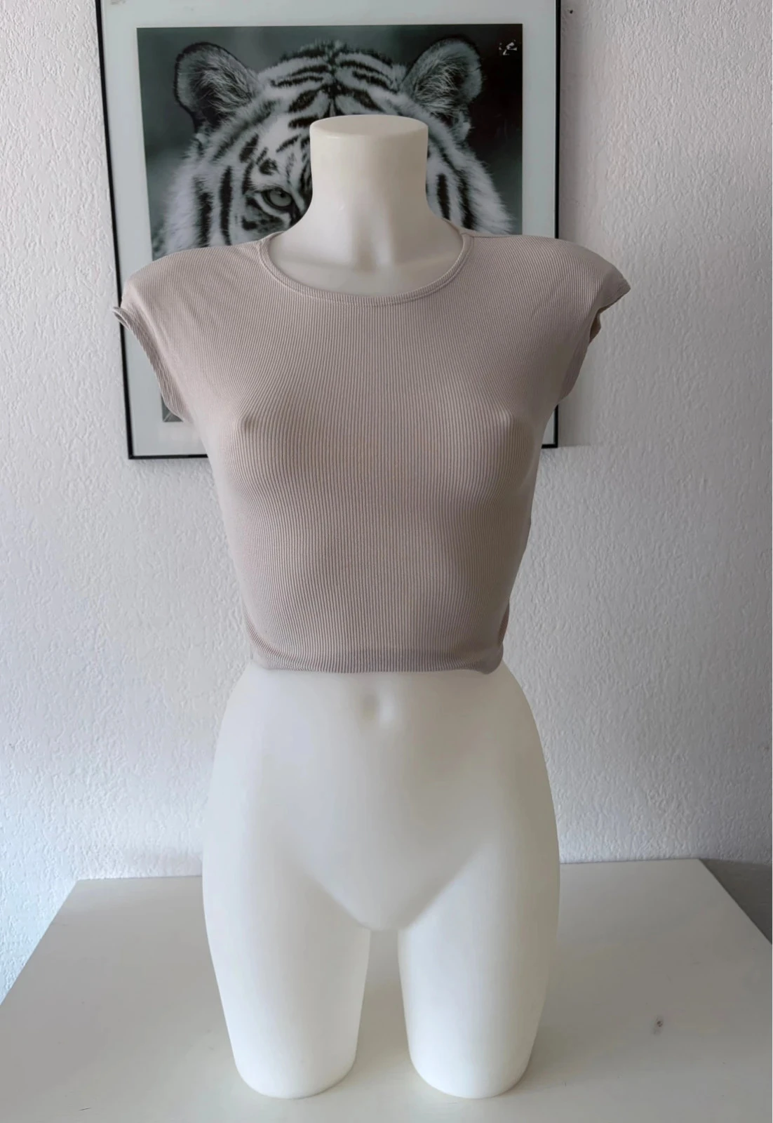 🎁 Crop top acanalado beige – Stradivarius – Talla S – photo 2